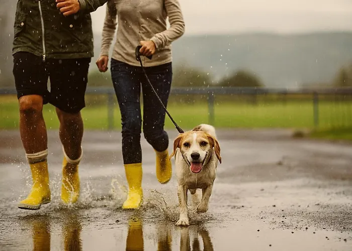 Bps #4 Flair Lägenhet *