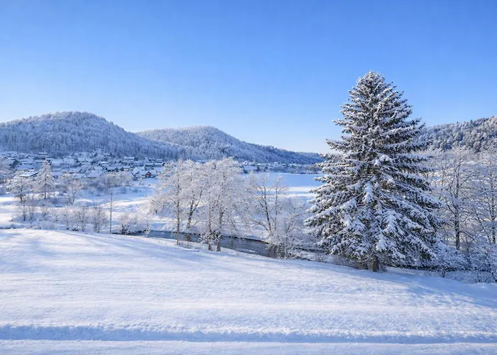 Bps #4 Flair Lägenhet *